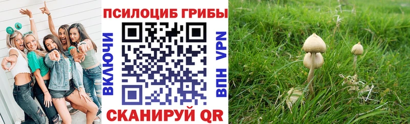 наркотики  Орск  Псилоцибиновые грибы мицелий 
